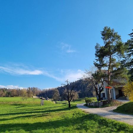 M&M Apartment Zgornje Gorje Kültér fotó